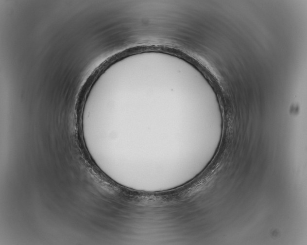 X0000096970927200802291118