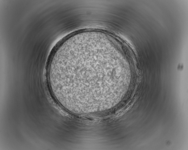 X0000096970928200802291118