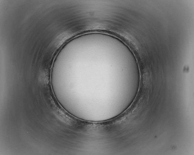 X0000096970929200802291118