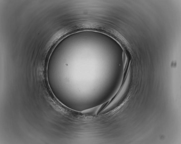 X0000096970930200802291118