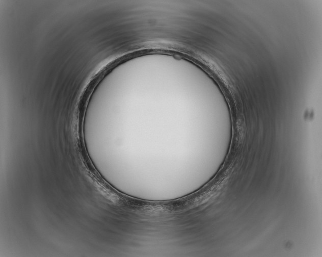 X0000096970931200802291118