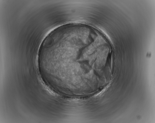 X0000096970932200802291118