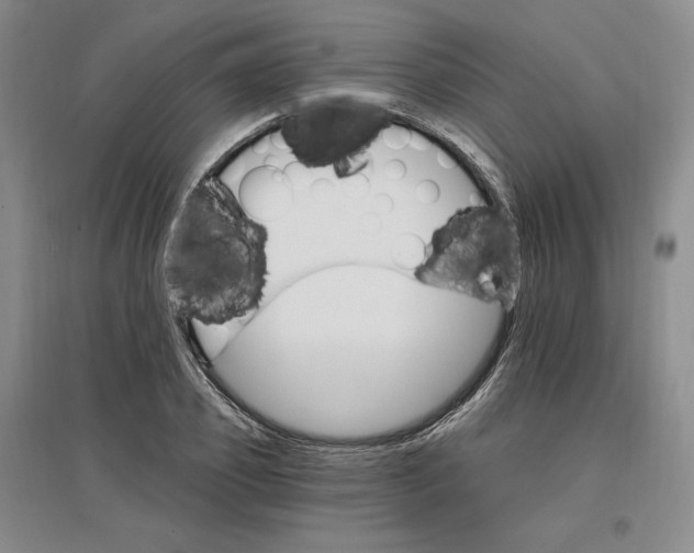 X0000096970933200802291118