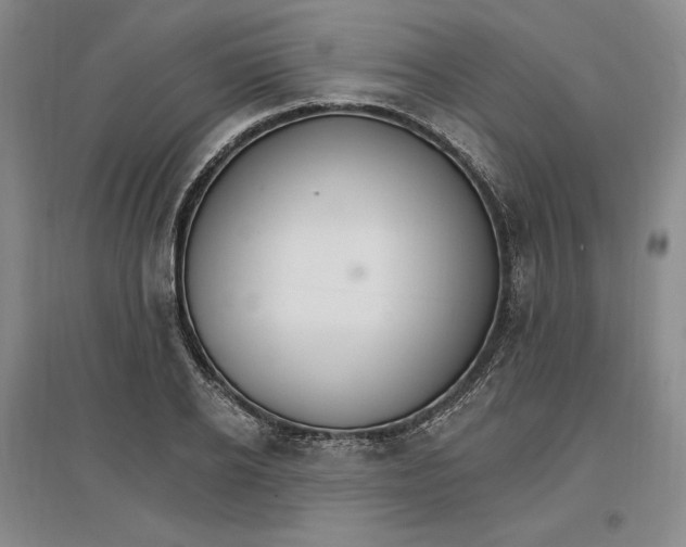 X0000096970934200802291118