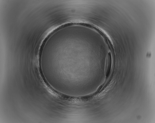 X0000096970935200802291118