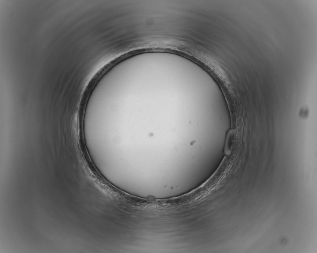 X0000096970936200802291118