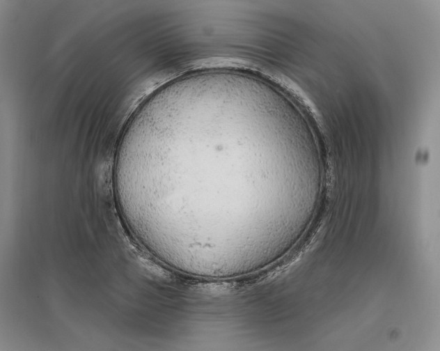 X0000096970937200802291118