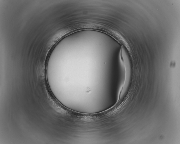 X0000096970938200802291118