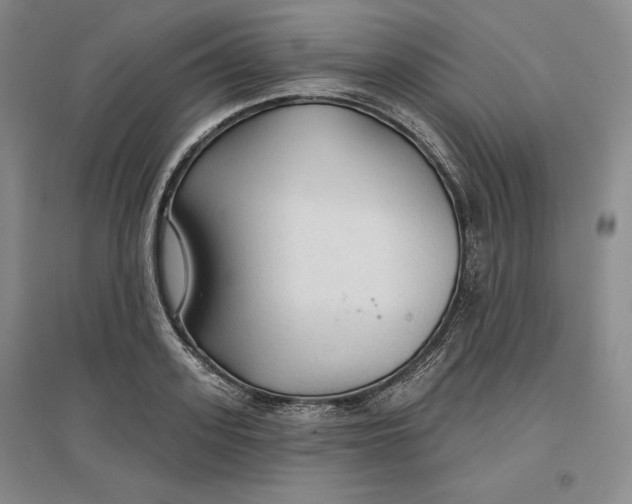 X0000096970939200802291118