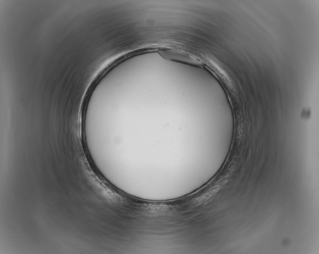 X0000096970940200802291118