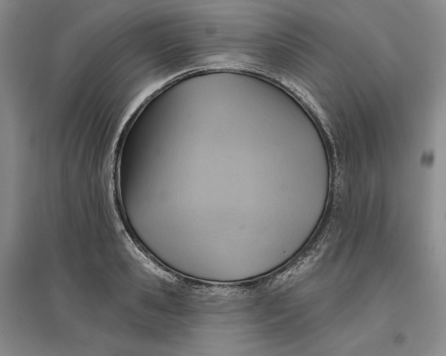 X0000096970941200802291118