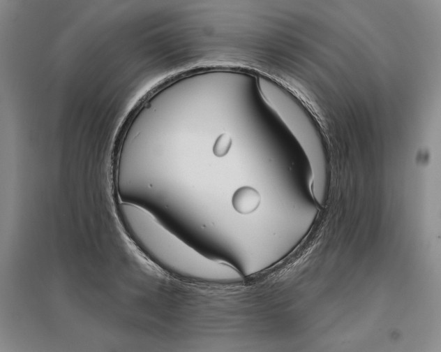 X0000096970942200802291118