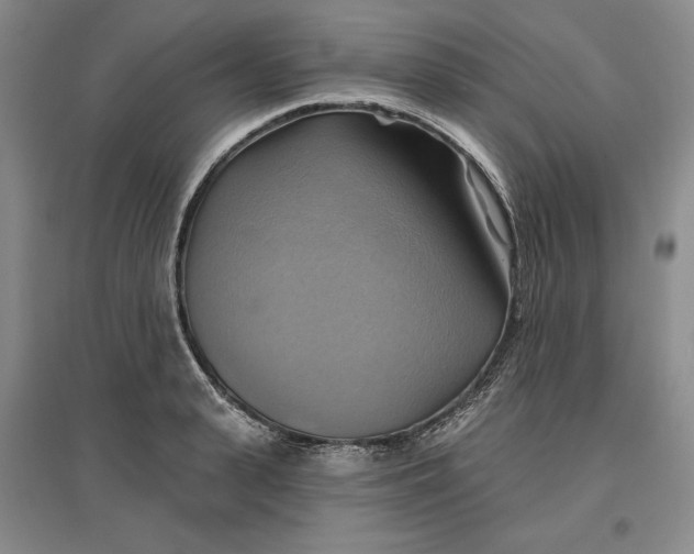 X0000096970943200802291118