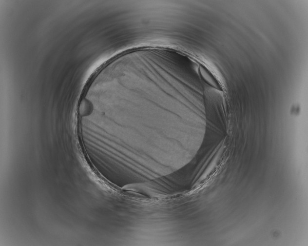 X0000096970944200802291118