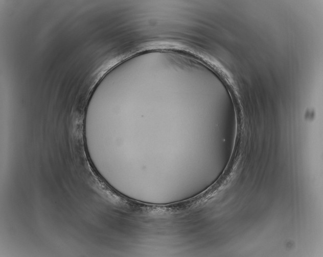 X0000096970945200802291118