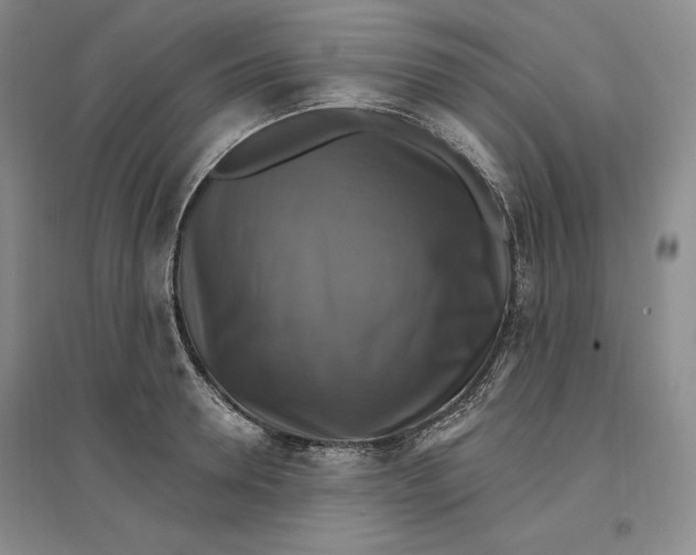 X0000096970946200802291118