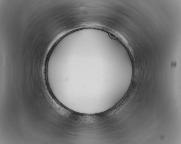 X0000096970947200802291118