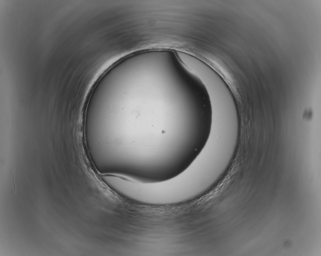 X0000096970948200802291118