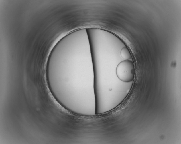 X0000096970949200802291118