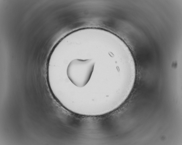 X0000096970950200802291118