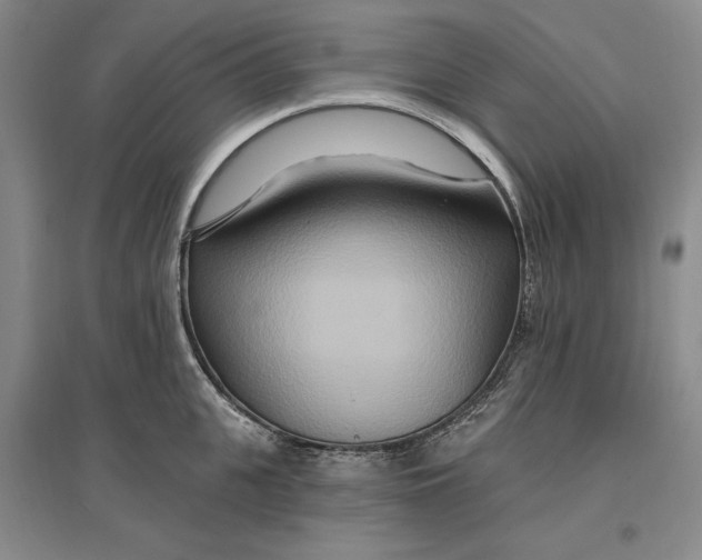 X0000096970951200802291118