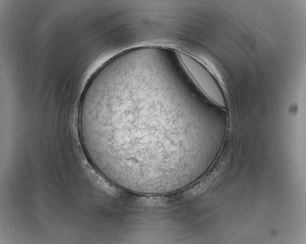 X0000096970952200802291118