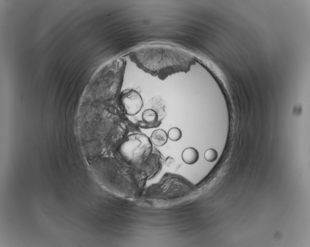 X0000096970953200802291118