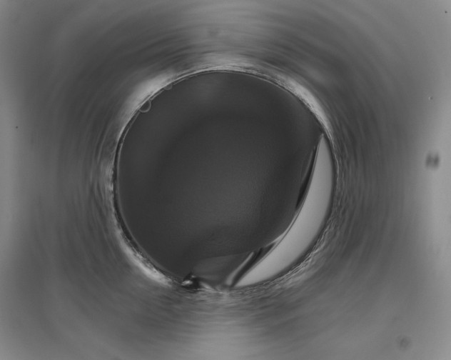 X0000096970954200802291118