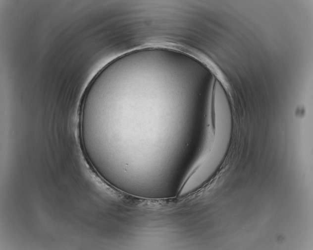 X0000096970955200802291118