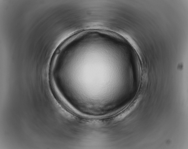 X0000096970957200802291118