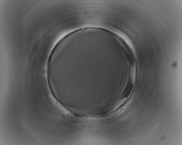 X0000096970958200802291118