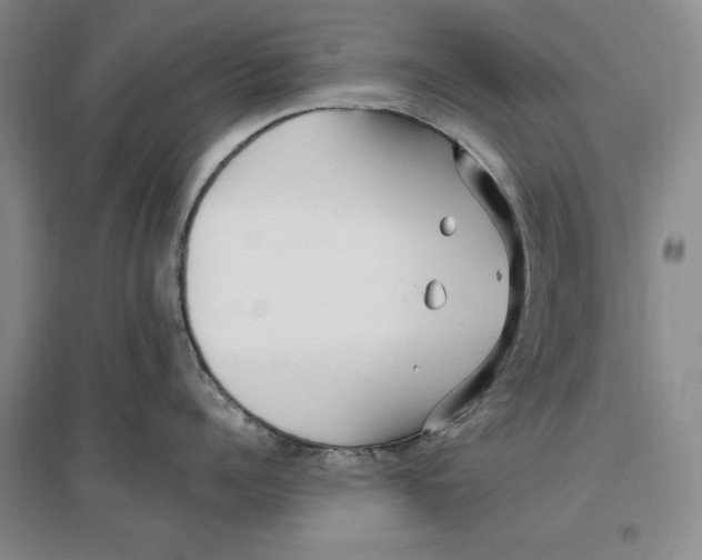 X0000096970960200802291119