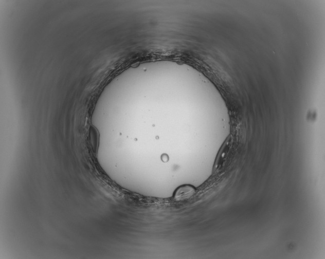 X0000096970961200802291118