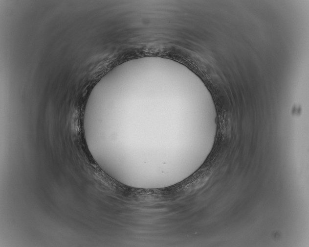 X0000096970962200802291118