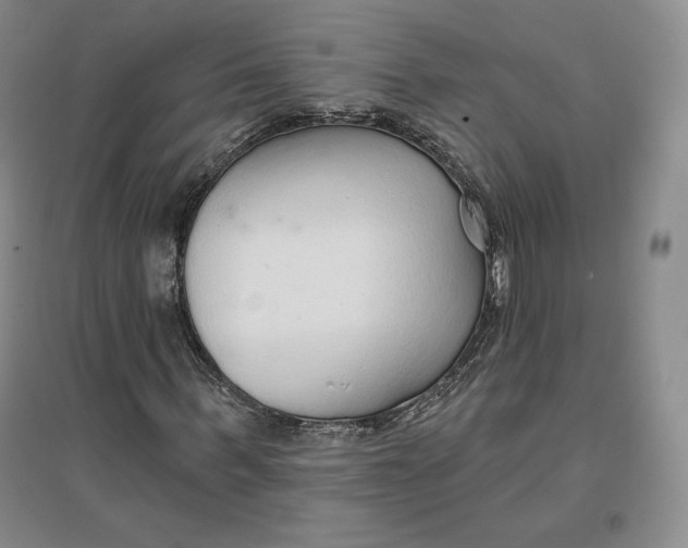 X0000096970963200802291118