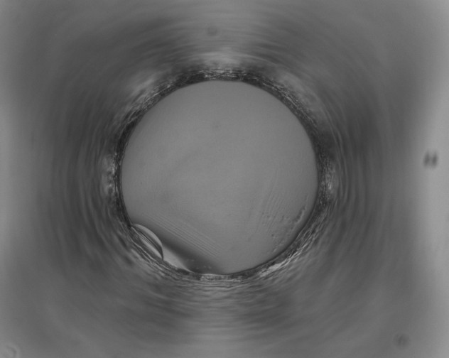 X0000096970964200802291118