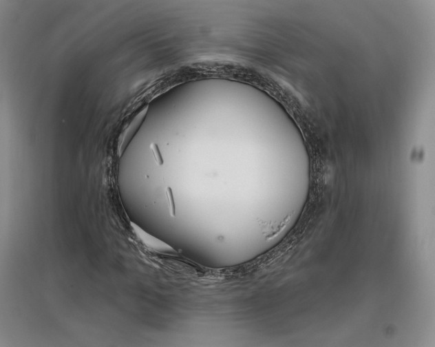 X0000096970965200802291118