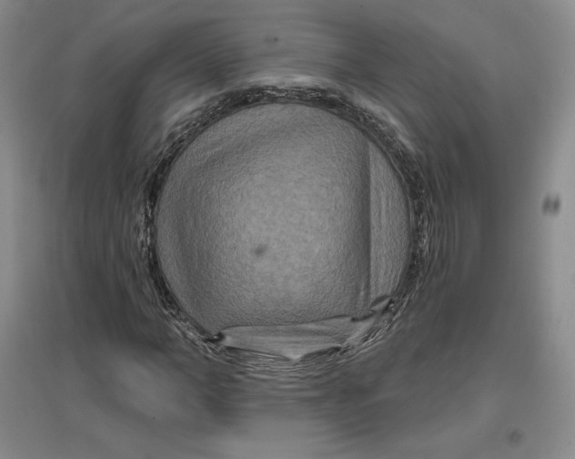 X0000096970966200802291118