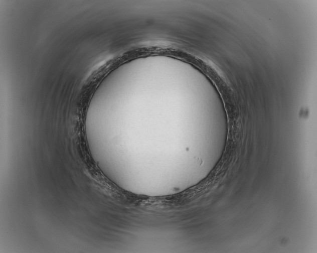 X0000096970967200802291118