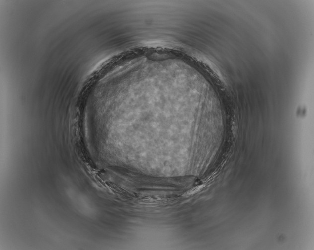 X0000096970968200802291118