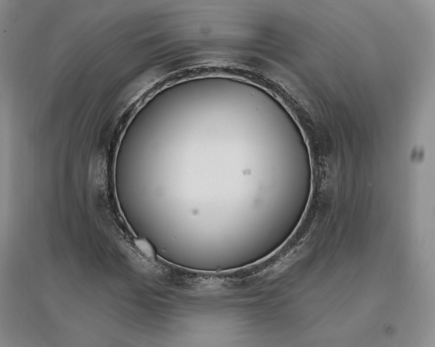 X0000096970969200802291118