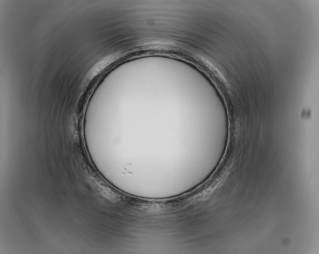 X0000096970970200802291118