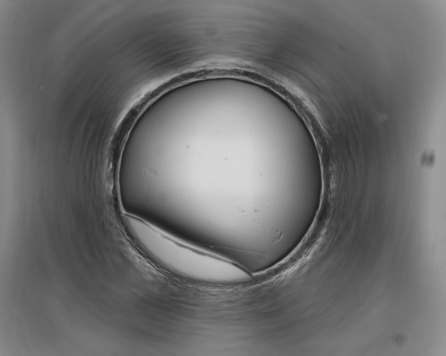 X0000096970973200802291117