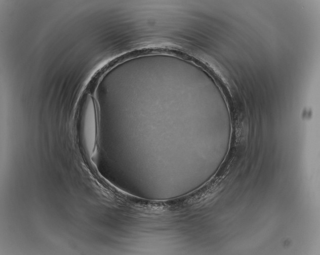 X0000096970975200802291117