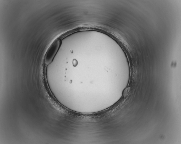 X0000096970976200802291117