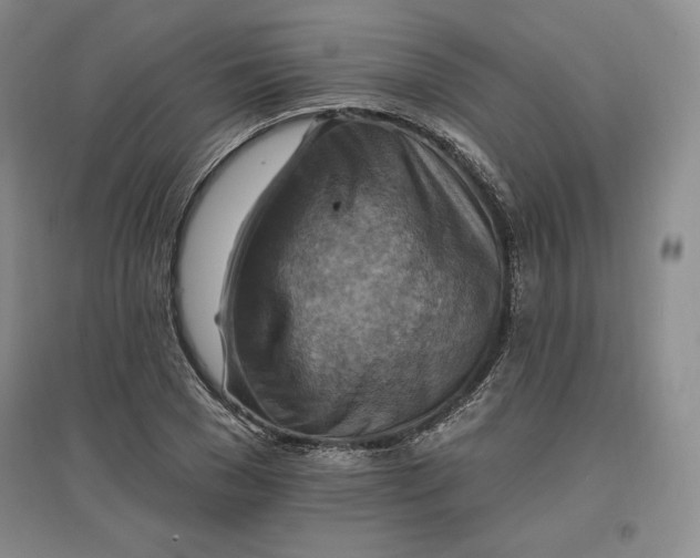 X0000096970977200802291117