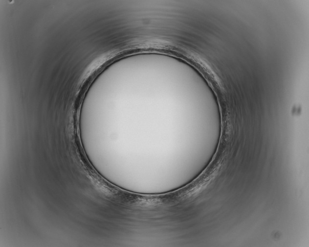 X0000096970978200802291117