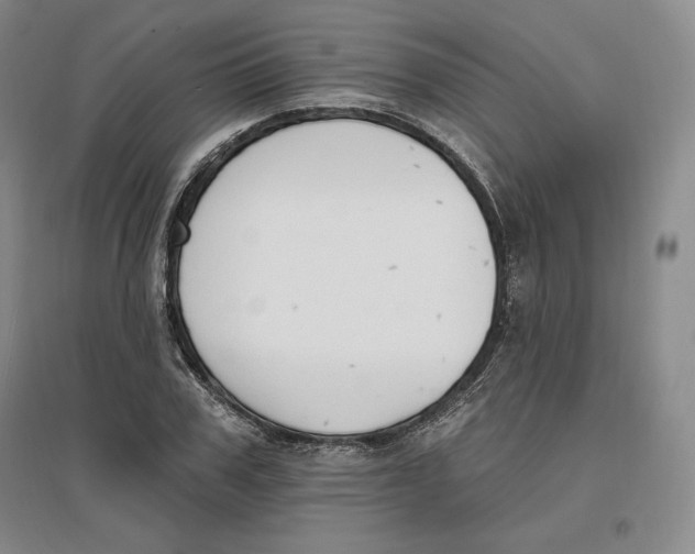 X0000096970979200802291117