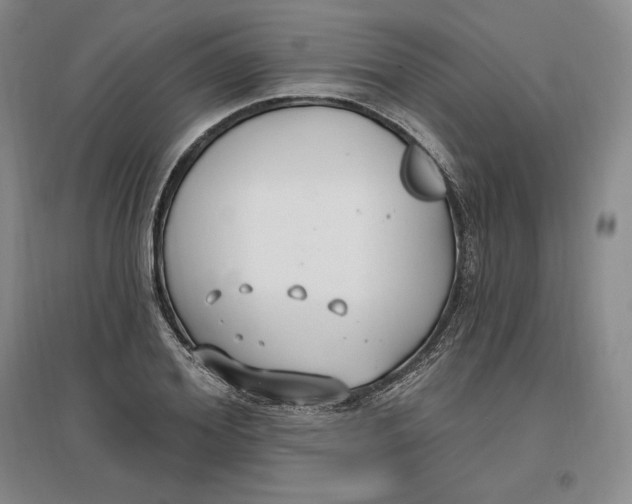 X0000096970980200802291117