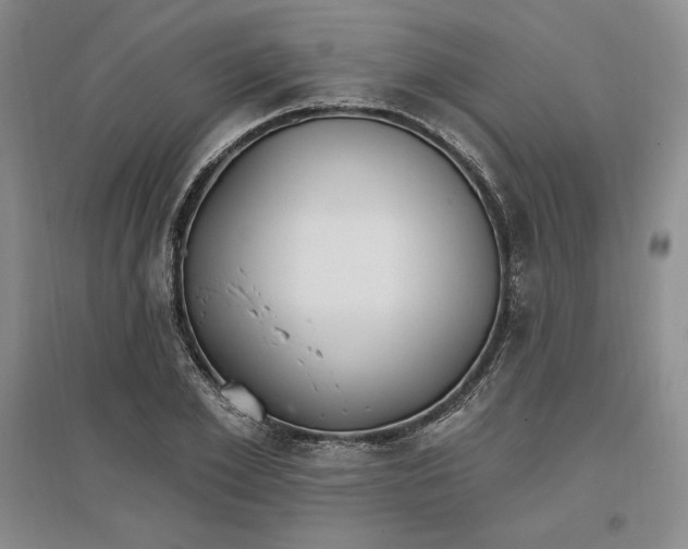 X0000096970981200802291117